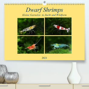 Dwarf Shrimps – kleine Garnelen (Premium, hochwertiger DIN A2 Wandkalender 2021, Kunstdruck in Hochglanz) von Pohlmann,  Rudolf