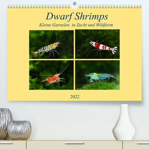 Dwarf Shrimps – kleine Garnelen (Premium, hochwertiger DIN A2 Wandkalender 2022, Kunstdruck in Hochglanz) von Pohlmann,  Rudolf