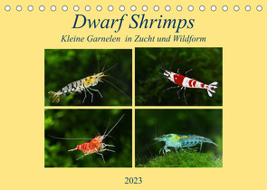 Dwarf Shrimps – kleine Garnelen (Tischkalender 2023 DIN A5 quer) von Pohlmann,  Rudolf