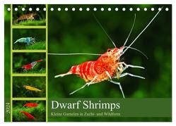 Dwarf Shrimps (Tischkalender 2024 DIN A5 quer), CALVENDO Monatskalender von Pohlmann,  Rudolf
