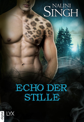 Echo der Stille von Singh,  Nalini, Woitynek,  Patricia