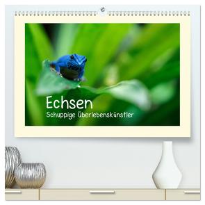 Echsen – Schuppige Überlebenskünstler (hochwertiger Premium Wandkalender 2024 DIN A2 quer), Kunstdruck in Hochglanz von Rinke,  Andreas