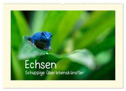 Echsen – Schuppige Überlebenskünstler (Wandkalender 2024 DIN A2 quer), CALVENDO Monatskalender von Rinke,  Andreas