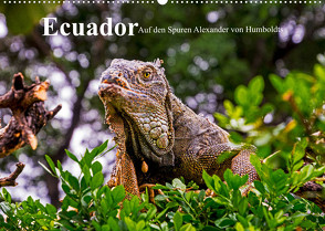 Ecuador – Auf den Spuren Alexander von Humboldts (Wandkalender 2022 DIN A2 quer) von Müller,  Harry