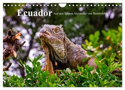 Ecuador – Auf den Spuren Alexander von Humboldts (Wandkalender 2024 DIN A4 quer), CALVENDO Monatskalender von Müller,  Harry