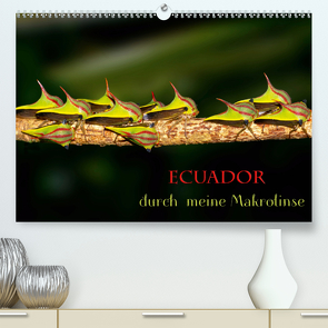 Ecuador durch meine Makrolinse (Premium, hochwertiger DIN A2 Wandkalender 2021, Kunstdruck in Hochglanz) von Schulz,  Eerika