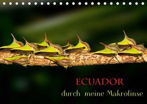 Ecuador durch meine Makrolinse (Tischkalender 2019 DIN A5 quer) von Schulz,  Eerika