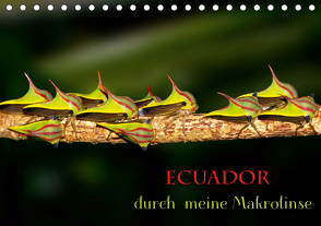 Ecuador durch meine Makrolinse (Tischkalender 2021 DIN A5 quer) von Schulz,  Eerika