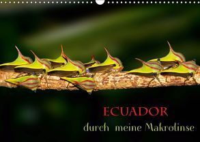 Ecuador durch meine Makrolinse (Wandkalender 2019 DIN A3 quer) von Schulz,  Eerika