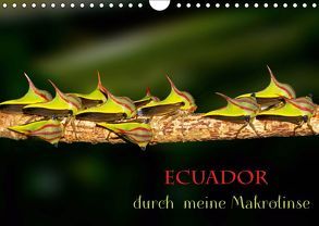 Ecuador durch meine Makrolinse (Wandkalender 2019 DIN A4 quer) von Schulz,  Eerika