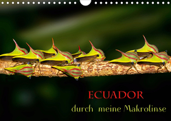Ecuador durch meine Makrolinse (Wandkalender 2021 DIN A4 quer) von Schulz,  Eerika