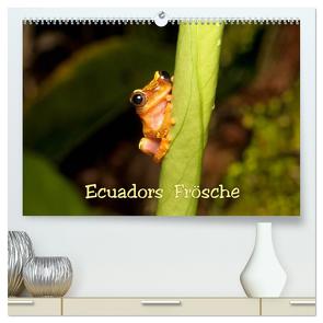 Ecuadors Frösche (hochwertiger Premium Wandkalender 2024 DIN A2 quer), Kunstdruck in Hochglanz von Schulz,  Eerika