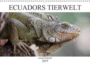 Ecuadors Tierwelt (Wandkalender 2019 DIN A3 quer) von Dobrindt,  Jeanette