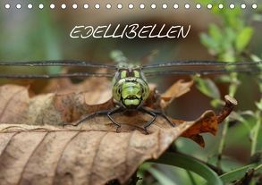 EDELLIBELLEN (Tischkalender 2018 DIN A5 quer) von Brix - Studio Brix,  Matthias