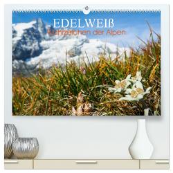 Edelweiß – Wahrzeichen der Alpen (hochwertiger Premium Wandkalender 2024 DIN A2 quer), Kunstdruck in Hochglanz von Schwatzfischer,  Miriam