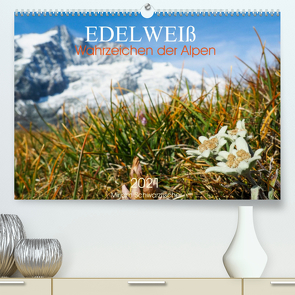Edelweiß – Wahrzeichen der Alpen (Premium, hochwertiger DIN A2 Wandkalender 2022, Kunstdruck in Hochglanz) von Schwatzfischer,  Miriam