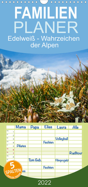 Familienplaner Edelweiß – Wahrzeichen der Alpen (Wandkalender 2022 , 21 cm x 45 cm, hoch) von Schwatzfischer,  Miriam