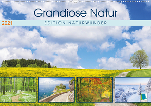 Edition Naturwunder: Grandiose Natur (Wandkalender 2021 DIN A2 quer) von CALVENDO