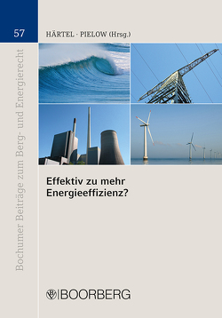 Effektiv zu mehr Energieeffizienz? von Härtel,  Ines, Pielow,  Johann-Christian