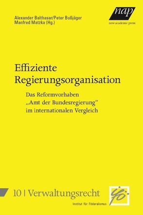 Effiziente Regierungsorganisation von Balthasar,  Alexander, Bußjäger,  Peter, Matzka,  Manfred