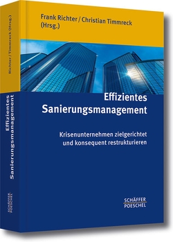 Effizientes Sanierungsmanagement von Richter,  Frank, Timmreck,  Christian