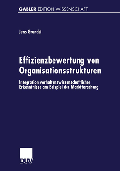 Effizienzbewertung von Organisationsstrukturen von Grundei,  Jens