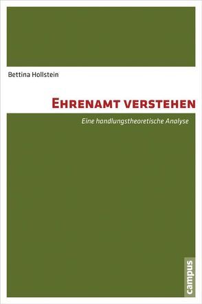 Ehrenamt verstehen von Hollstein,  Bettina