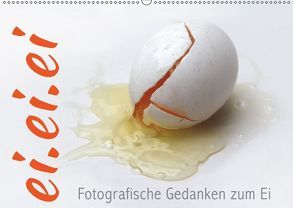ei.ei.ei – Fotografische Gedanken zum Ei (Wandkalender 2019 DIN A2 quer) von Reichenauer,  Maria