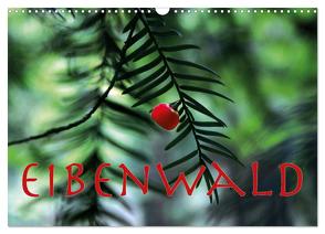 Eibenwald (Wandkalender 2024 DIN A3 quer), CALVENDO Monatskalender von Reichenauer,  Maria