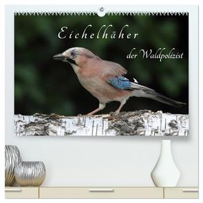 Eichelhäher der Waldpolizist (hochwertiger Premium Wandkalender 2024 DIN A2 quer), Kunstdruck in Hochglanz von Konieczka,  Klaus