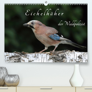 Eichelhäher der Waldpolizist (Premium, hochwertiger DIN A2 Wandkalender 2021, Kunstdruck in Hochglanz) von Konieczka,  Klaus