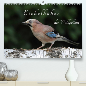 Eichelhäher der Waldpolizist (Premium, hochwertiger DIN A2 Wandkalender 2022, Kunstdruck in Hochglanz) von Konieczka,  Klaus