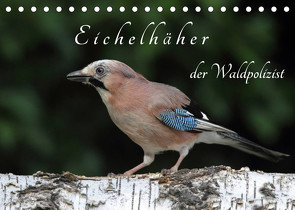 Eichelhäher der Waldpolizist (Tischkalender 2023 DIN A5 quer) von Konieczka,  Klaus