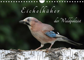 Eichelhäher der Waldpolizist (Wandkalender 2022 DIN A4 quer) von Konieczka,  Klaus