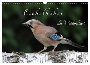 Eichelhäher der Waldpolizist (Wandkalender 2024 DIN A3 quer), CALVENDO Monatskalender von Konieczka,  Klaus