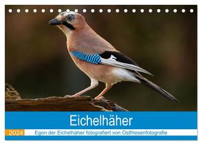 Eichelhäher – Egon der Eichelhäher fotografiert von Ostfriesenfotografie (Tischkalender 2024 DIN A5 quer), CALVENDO Monatskalender von Betten - Ostfriesenfotografie,  Christina