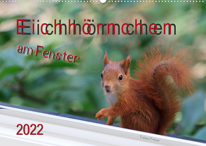 Eichhörnchen am Fenster (Wandkalender 2022 DIN A2 quer) von Freise,  Tobias