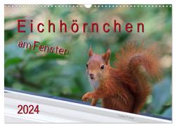 Eichhörnchen am Fenster (Wandkalender 2024 DIN A3 quer), CALVENDO Monatskalender von Freise,  Tobias