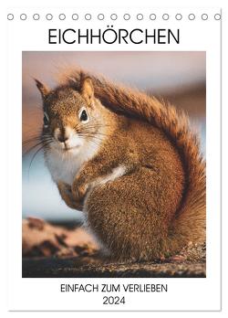 Eichhörnchen – Einfach zum Verlieben (Tischkalender 2024 DIN A5 hoch), CALVENDO Monatskalender von Same,  Same