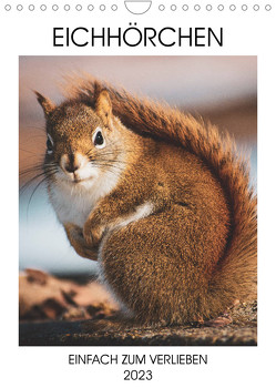 Eichhörnchen – Einfach zum Verlieben (Wandkalender 2023 DIN A4 hoch) von Same