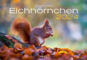 Eichhörnchen Eintragkalender 2024 von KLEIN