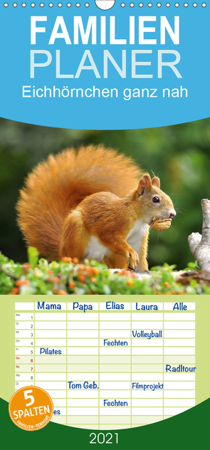 Eichhörnchen ganz nah – Familienplaner hoch (Wandkalender 2021 , 21 cm x 45 cm, hoch) von Jazbinszky,  Ivan