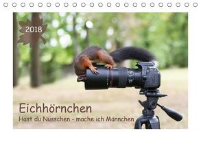 Eichhörnchen – Hast du Nüsschen mache ich Männchen (Tischkalender 2018 DIN A5 quer) von Cerny,  Birgit