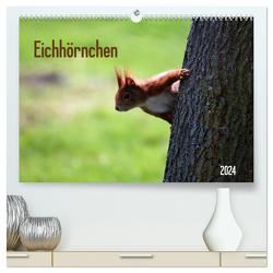 Eichhörnchen (hochwertiger Premium Wandkalender 2024 DIN A2 quer), Kunstdruck in Hochglanz von SchnelleWelten,  SchnelleWelten