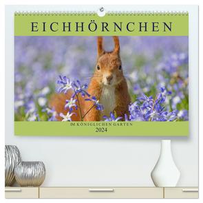 Eichhörnchen im Königlichen Garten (hochwertiger Premium Wandkalender 2024 DIN A2 quer), Kunstdruck in Hochglanz von Brackhan,  Margret