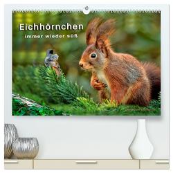 Eichhörnchen – immer wieder süß (hochwertiger Premium Wandkalender 2024 DIN A2 quer), Kunstdruck in Hochglanz von Roder,  Peter