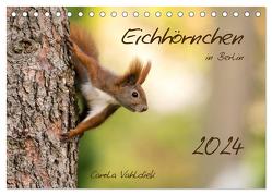 Eichhörnchen in Berlin (Tischkalender 2024 DIN A5 quer), CALVENDO Monatskalender von Vahldiek,  Carola