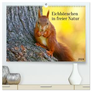 Eichhörnchen in freier Natur (hochwertiger Premium Wandkalender 2024 DIN A2 quer), Kunstdruck in Hochglanz von SchnelleWelten,  SchnelleWelten