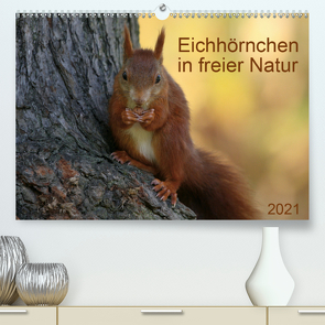 Eichhörnchen in freier Natur (Premium, hochwertiger DIN A2 Wandkalender 2021, Kunstdruck in Hochglanz) von SchnelleWelten