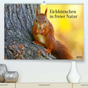 Eichhörnchen in freier Natur (Premium, hochwertiger DIN A2 Wandkalender 2022, Kunstdruck in Hochglanz) von SchnelleWelten